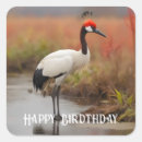 Search for wetlands stickers Wildlife