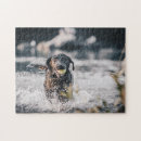 Search for black labrador puzzles Cute