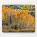 Recherche de cathy tapis souris Arbre