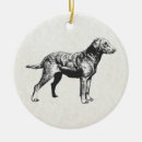 Search for chesapeake bay retriever ornaments Animal