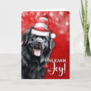 Search for newfie christmas cards Dogs