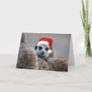 Search for meerkat christmas cards Santa