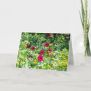 Search for dream green cards Flowers