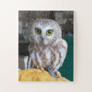 Recherche de owl puzzles Jigsaw