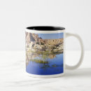 Recherche de tree tasses Californie