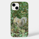 Recherche de écureuil iphone coques Mignon