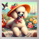 Recherche de caniche c art Des caniches