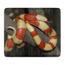 Recherche de serpents planches à découper Reptile