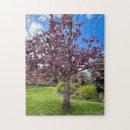 Search for cherry tree puzzles Landscape