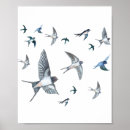 Search for ornithologist posters Ornithology