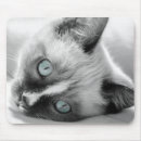 Recherche de chat rayé tapis souris Mignonette