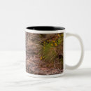 Recherche de marry tasses Paysage