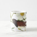 Search for junco mugs Audubon