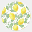 Search for lemon leaves stickers Citrus