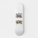 Recherche de batteur skateboards Musique