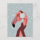 Recherche de flamand rose cartes postales Animal