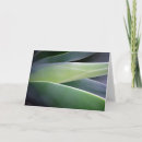 Search for agave cards Nature