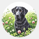 Search for dog st patricks day stickers Labrador
