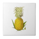 Search for pineapple tiles tropical