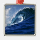 Search for fiji ornaments Ocean