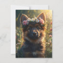 Search for white german shepherd postcards Cute