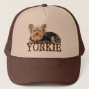 Search for yorkie accessories Canine