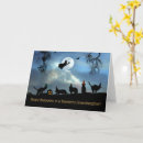 Search for familiarity cards Cats