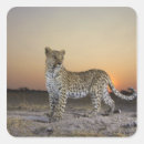 Search for contemplation stickers Full length