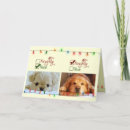 Search for naughty but nice cards Dog