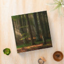 Search for sunbeams binders Nature