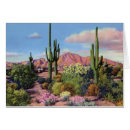 Recherche de camelback Sud ouest