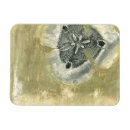 Recherche de vitre magnets Moderne