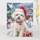 Search for bichon frise cards Dog