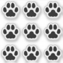 Search for toe stickers Pets