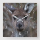 Search for australia clocks Kangaroo