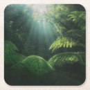 Search for rainforest coasters Tree