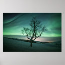 Recherche de northern lights posters Aurora borealis