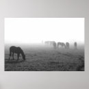 Search for fog posters Landscape
