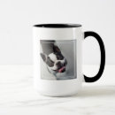 Recherche de images de chiot tasses Drôle