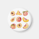 Search for slice magnets Pink