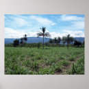 Search for remote paint posters Tropical