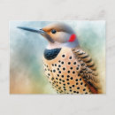 Recherche de flamboyant cartes postales Aviaire