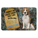 Recherche de chien beagle magnets Drôle