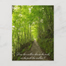Search for path cards invites Trees