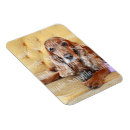 Recherche de perte de mémoire magnets Chat