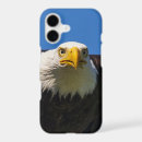 Search for bald eagles iphone cases Bird of prey