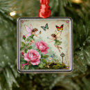 Search for enchanted ornaments Fairy