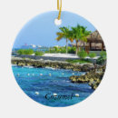 Search for cozumel ornaments Beach