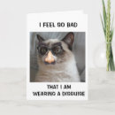Search for disguises cards Cat