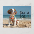 Recherche de brittany cartes postales Plage